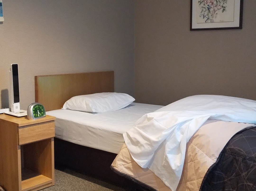 Business Hotel Misato主图
