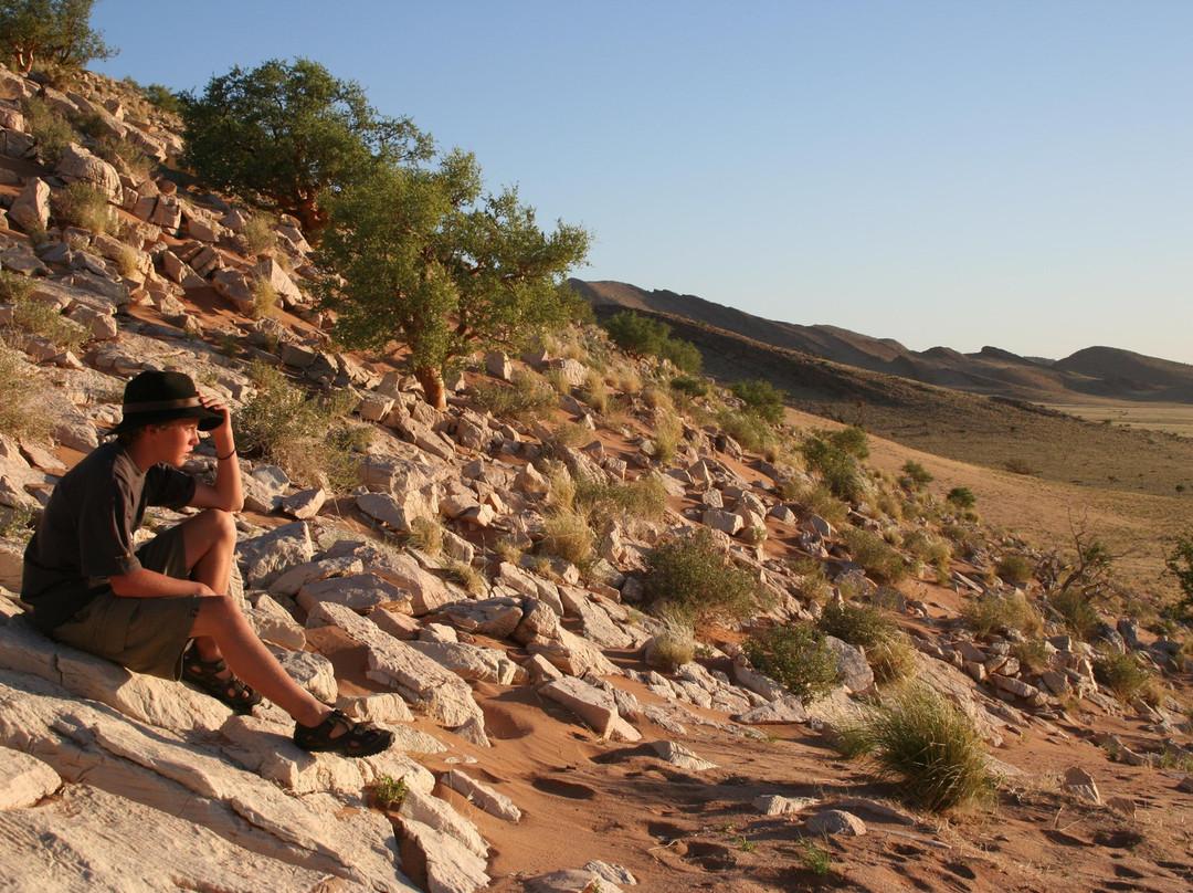 African Extravaganza-苏丝斯黎必去景点