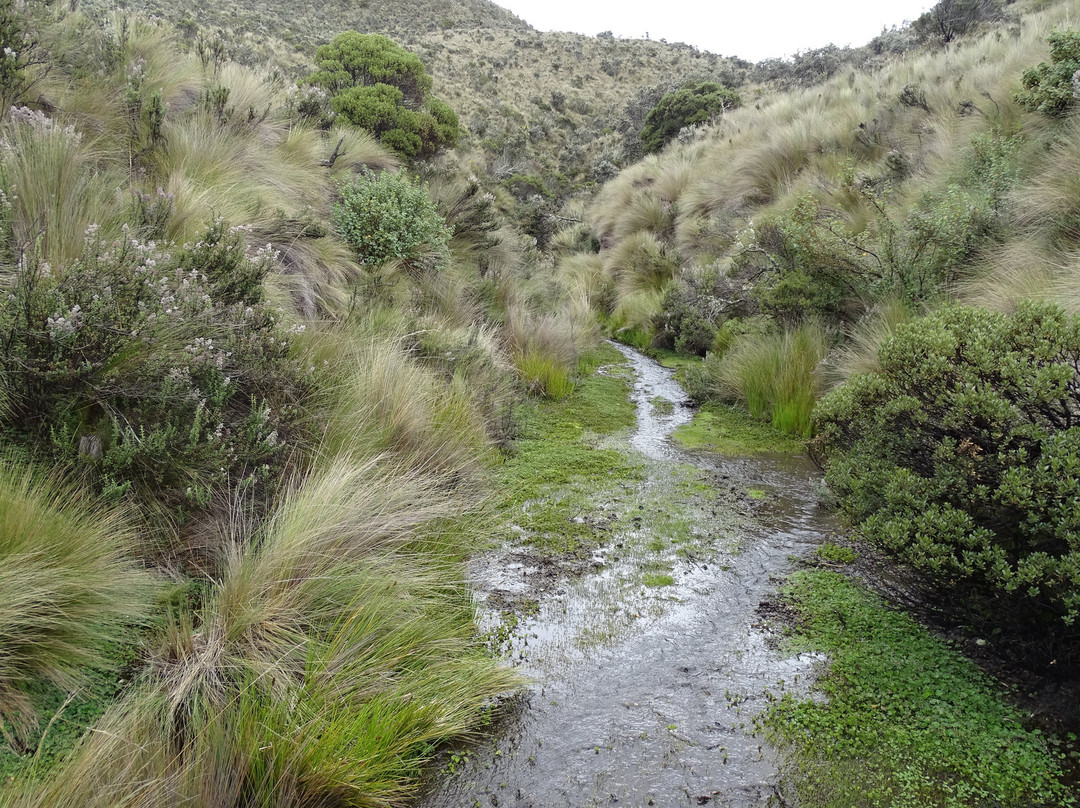 Area Nacional de Recreacion El Boliche-拉塔昆加必去景点
