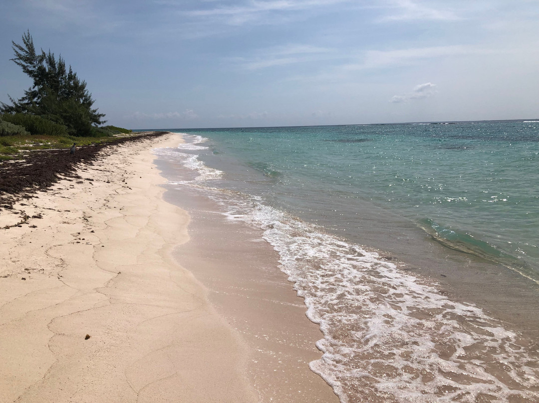 Point of Sand-Little Cayman必去景点