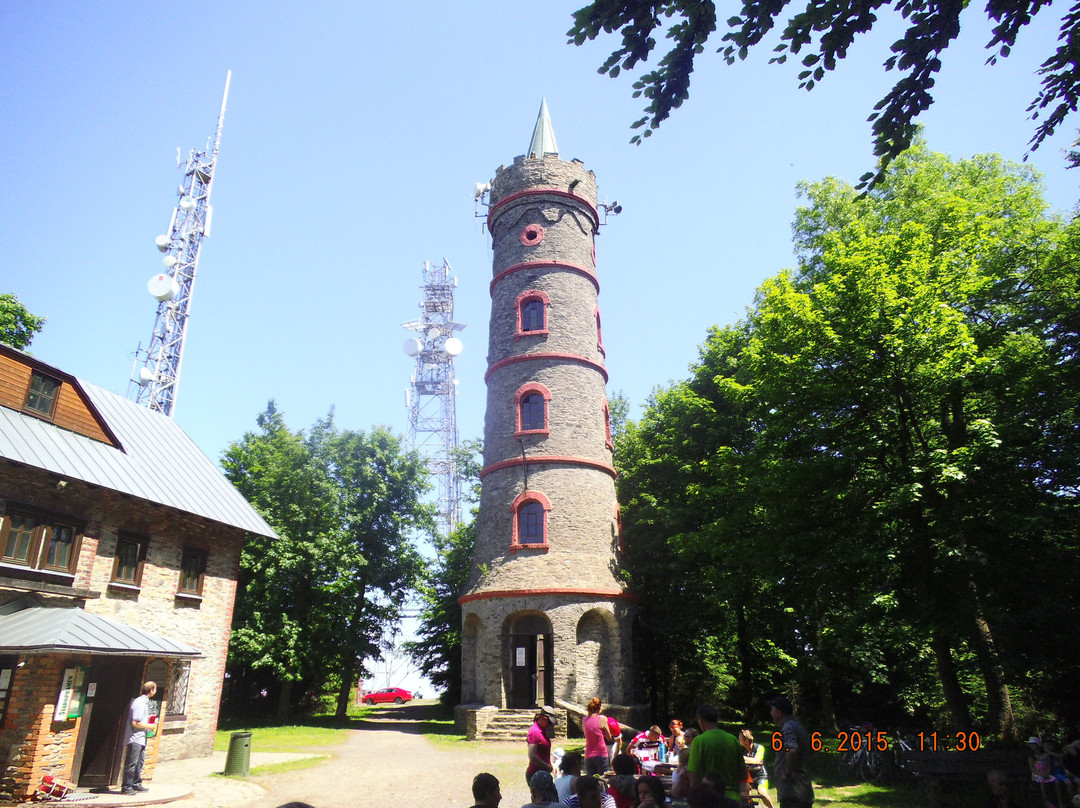 Lookout Tower Jedlova景点图片