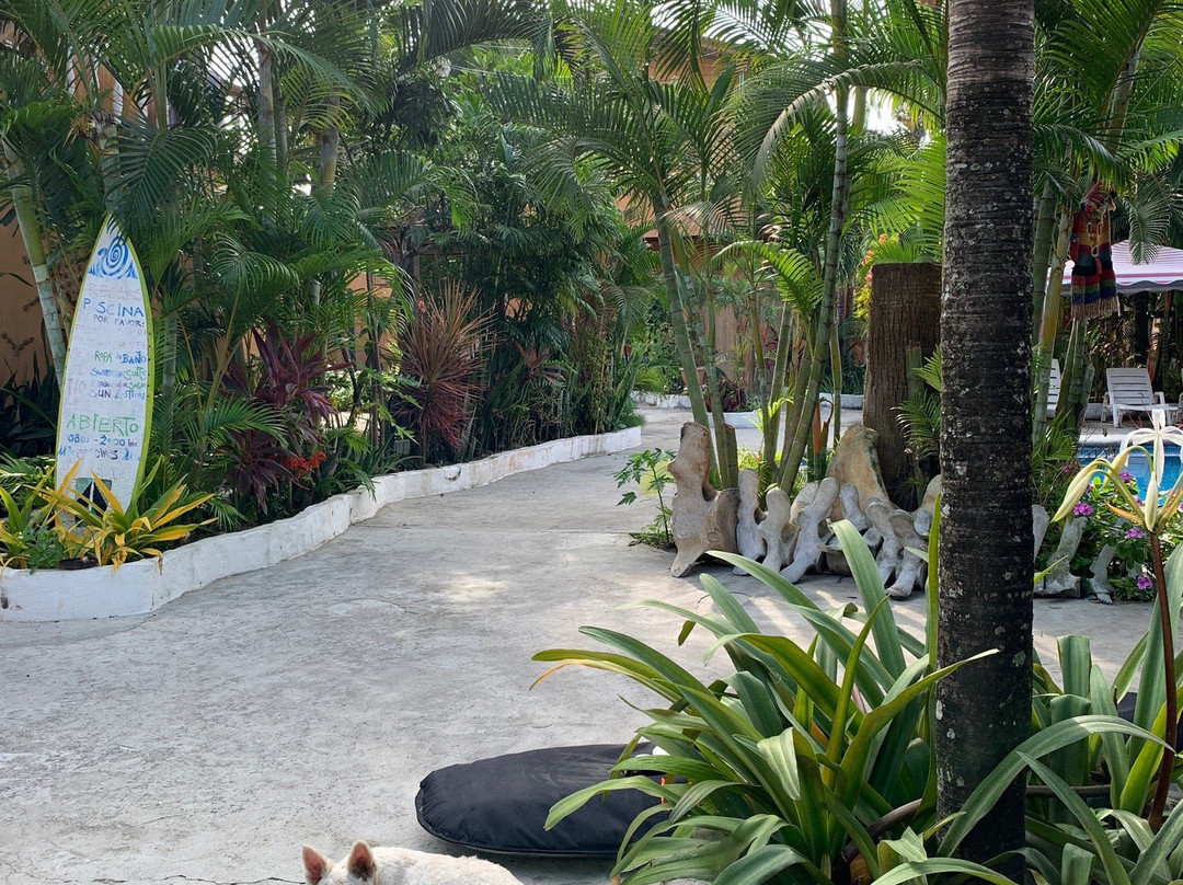 Casa Shangri La主图