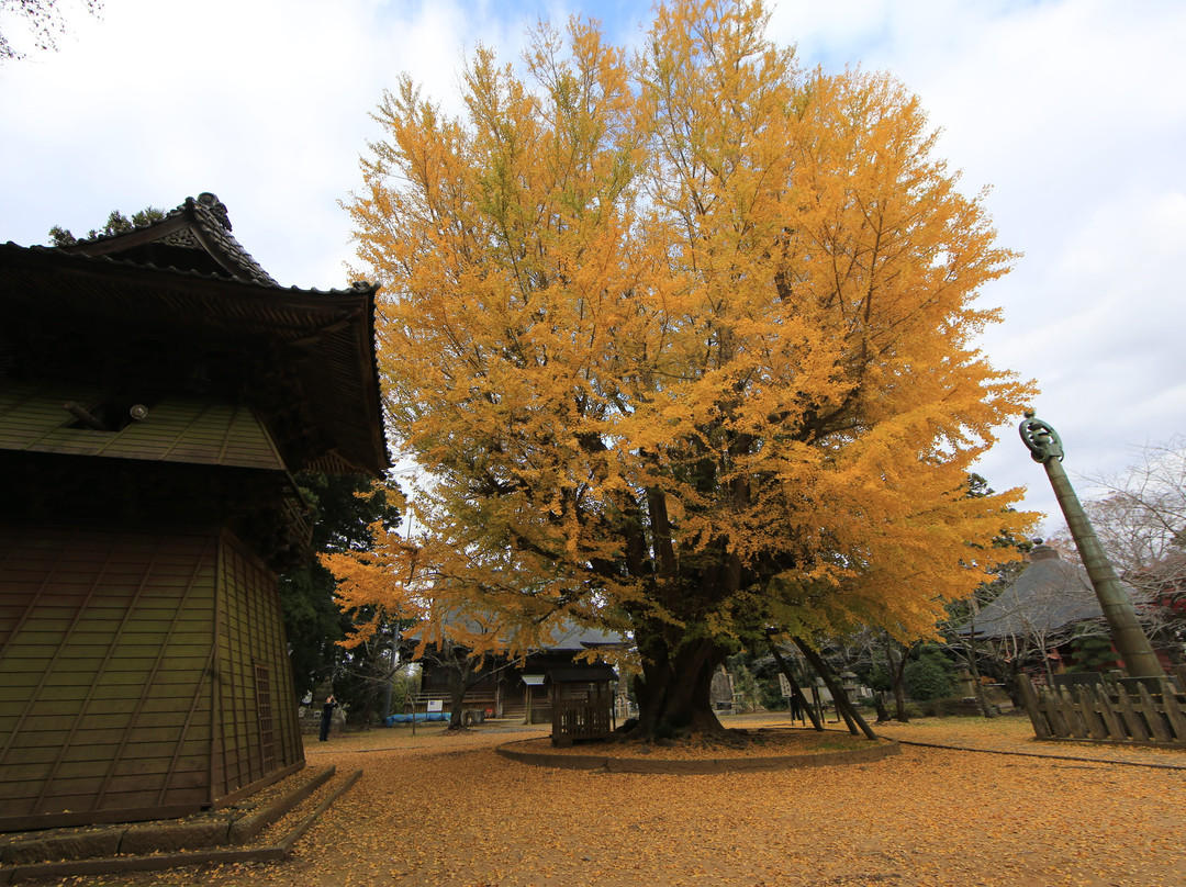 Sairen-ji Temple-行方市必去景点