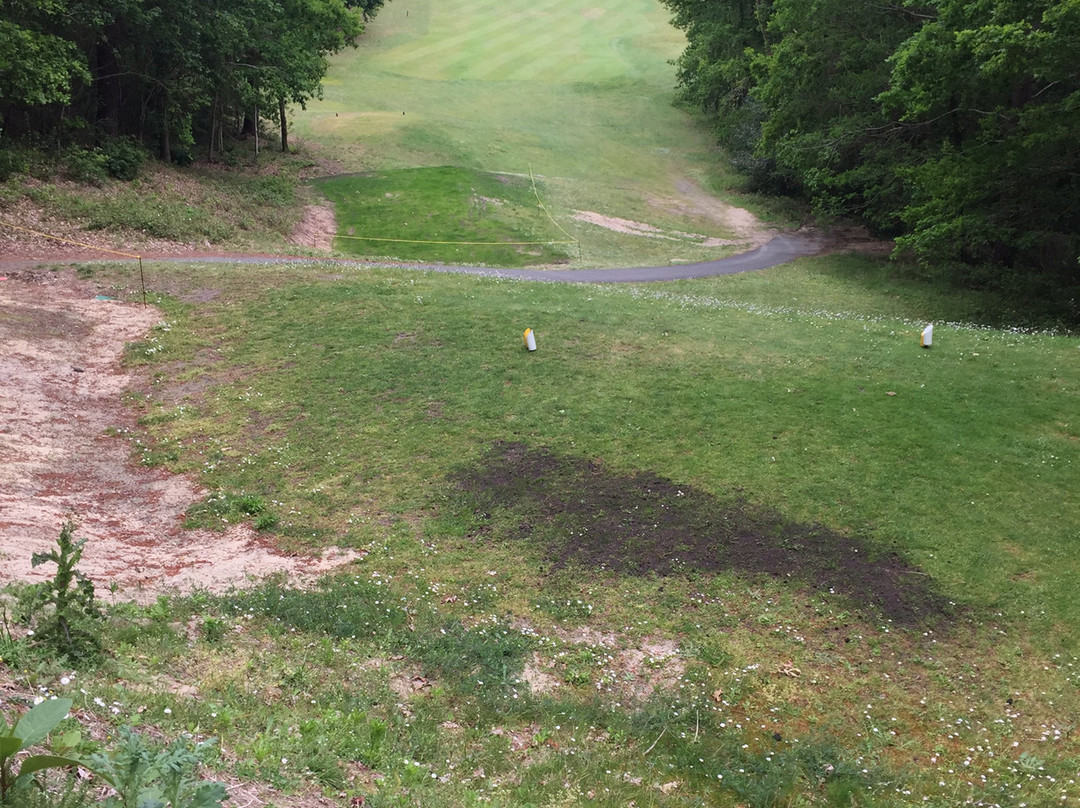 Golf de Biscarrosse-比斯卡罗斯必去景点