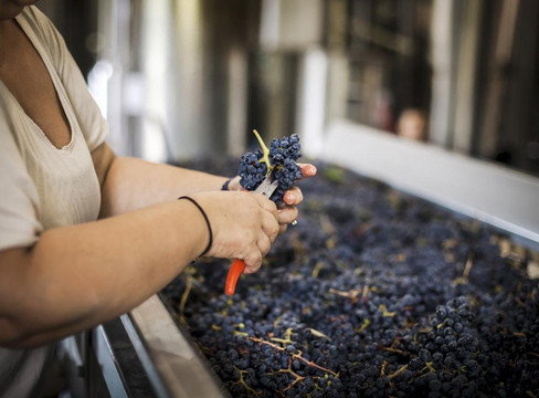 La Gironda-Nizza Monferrato必去景点