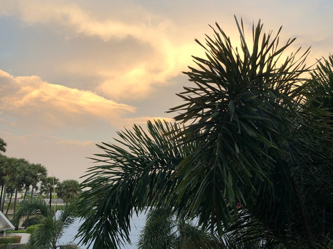 帕莫里度假村主图