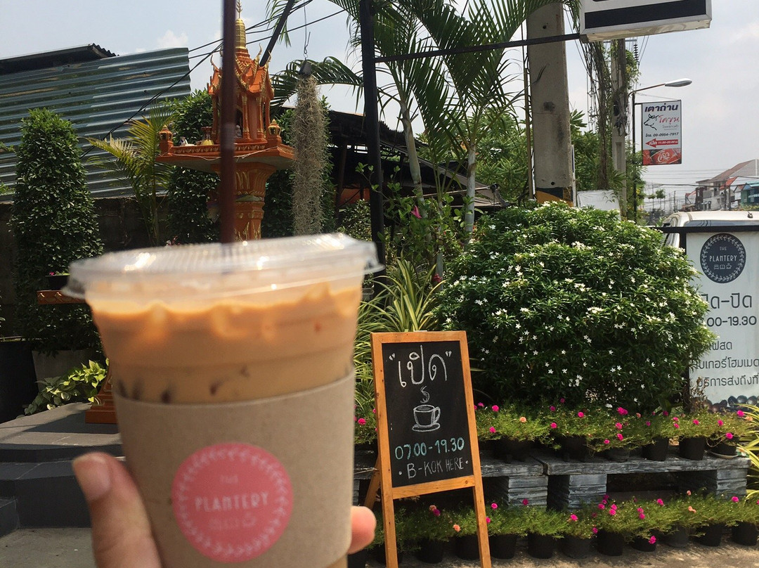 The Plantery Hostel & Cafe