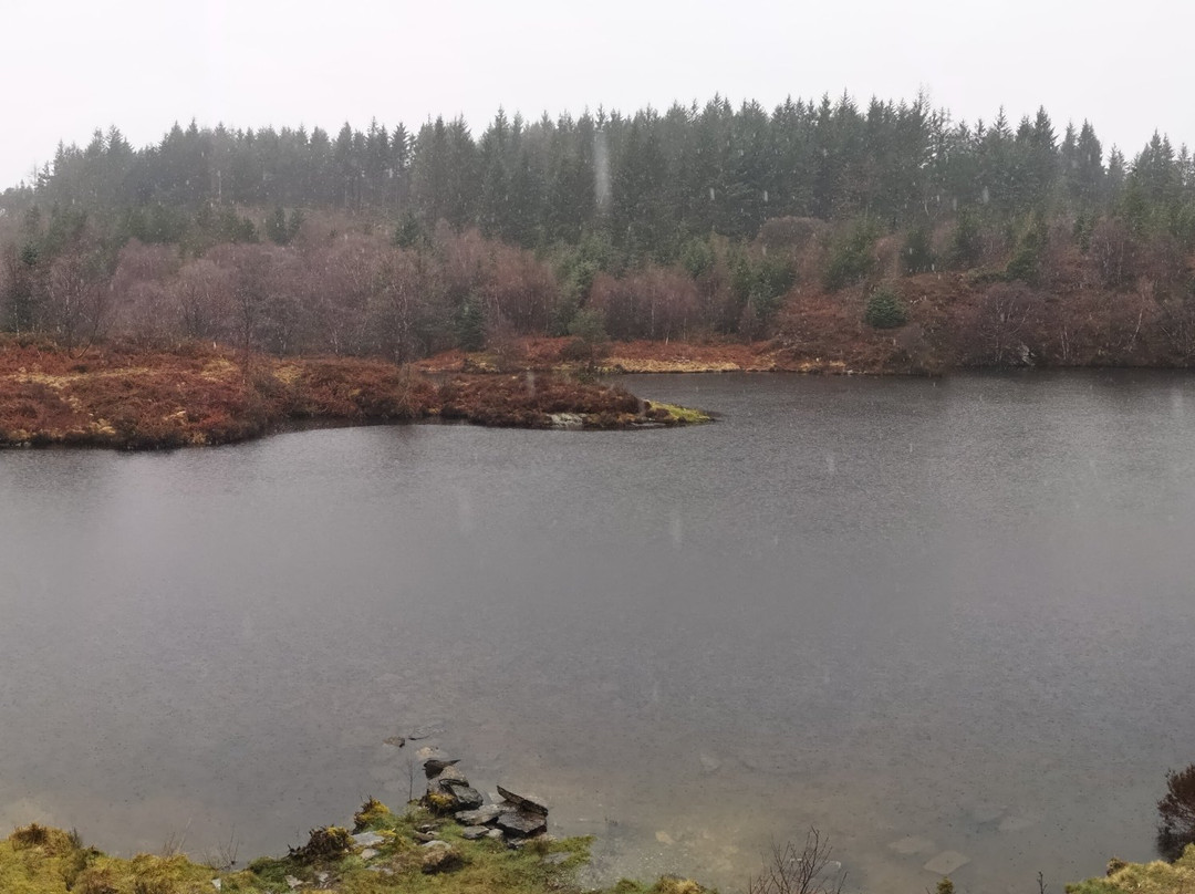 Llyn Elsi景点图片