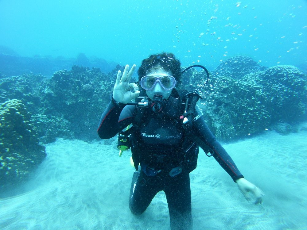 Rapa Nui Dive Center-安加罗阿必去景点