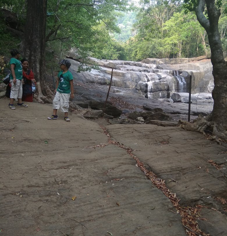 Thommankuthu Waterfalls景点图片