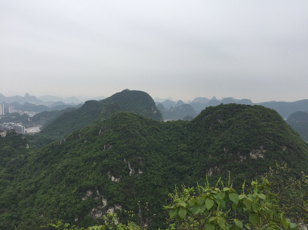 鱼峰山景点图片