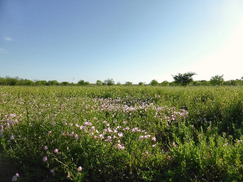 Medina River Natural Area-圣安东尼奥市必去景点