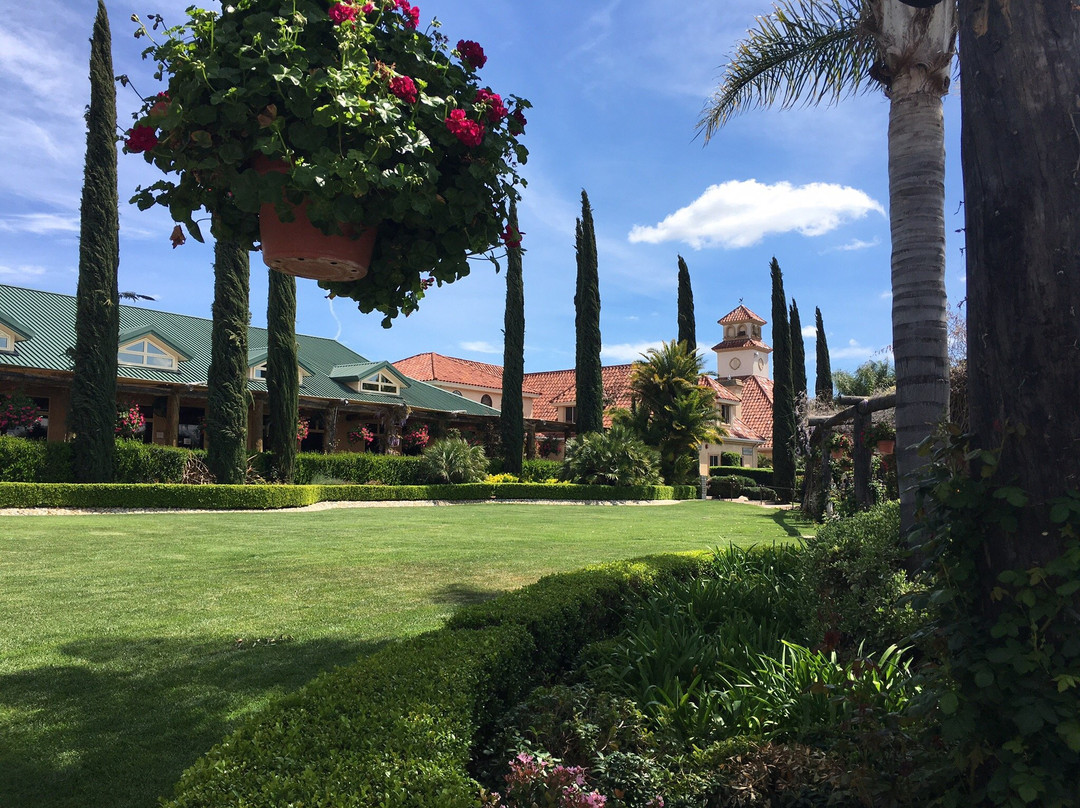 South Coast Winery-特曼库拉必去景点