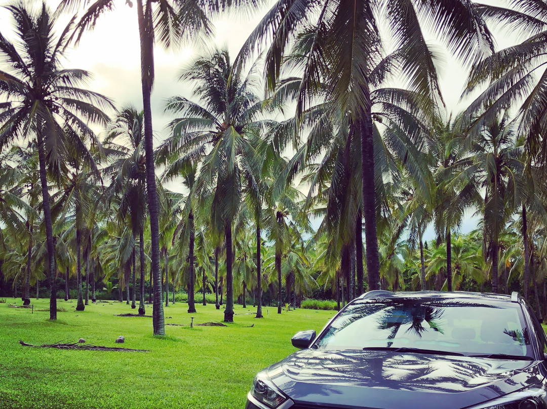 Travel Safe Transfers-道格拉斯港必去景点