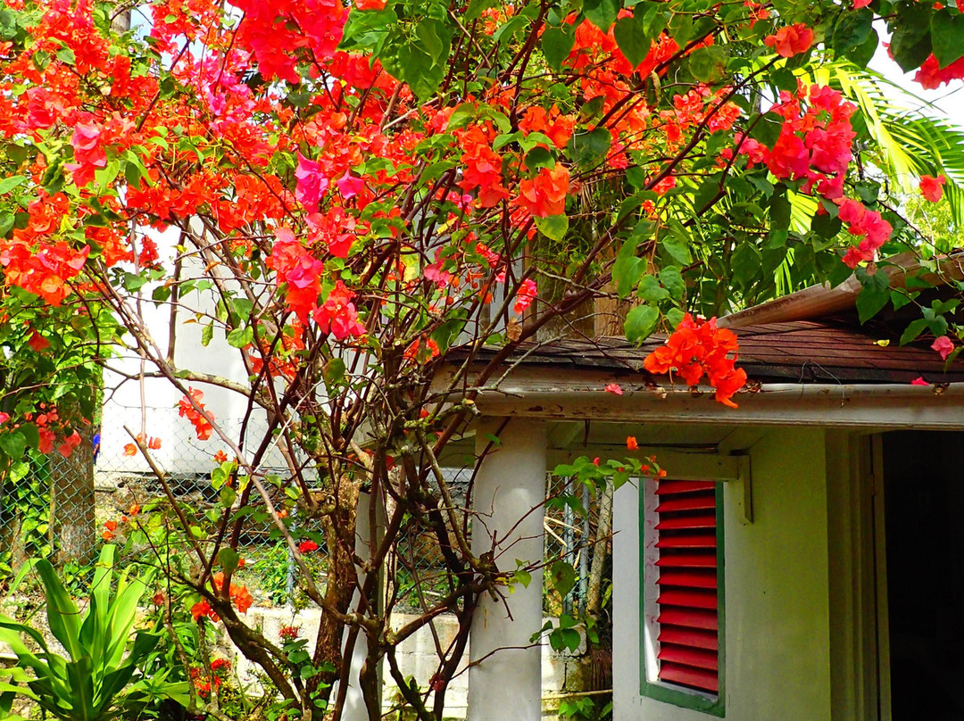 Drapers San Guest House主图