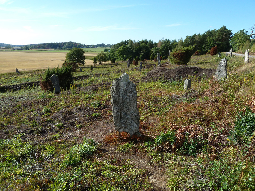 Li Gravfalt