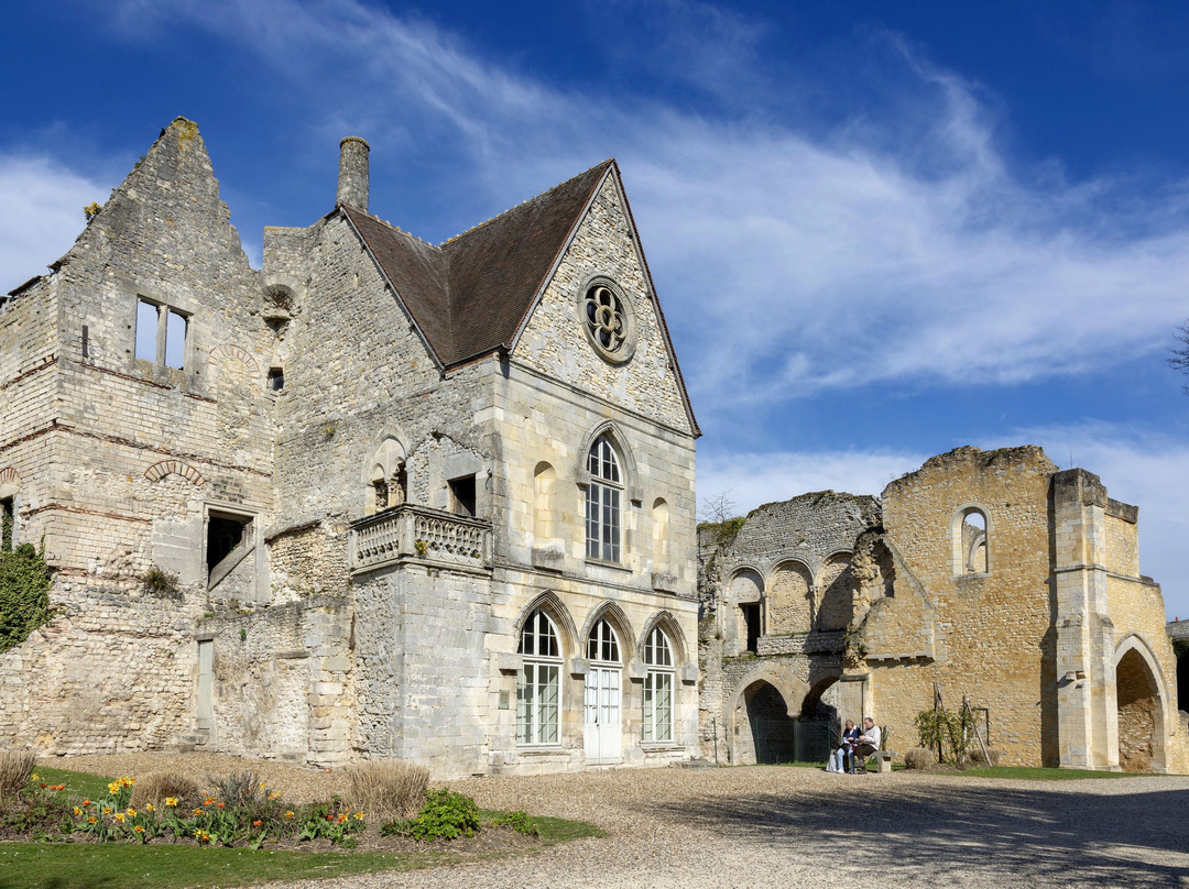 Parc et Vestiges du Chateau Royal