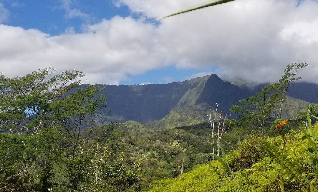 Mt. Waialeale景点图片
