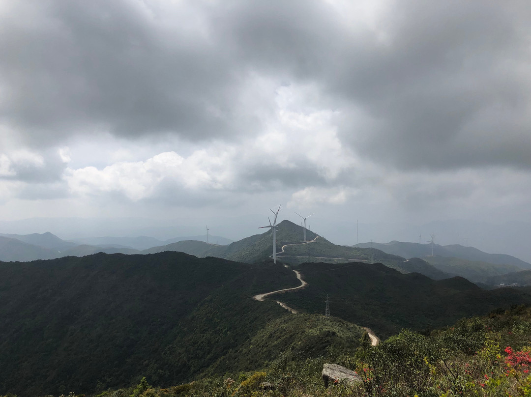 云顶山-厦门市必去景点