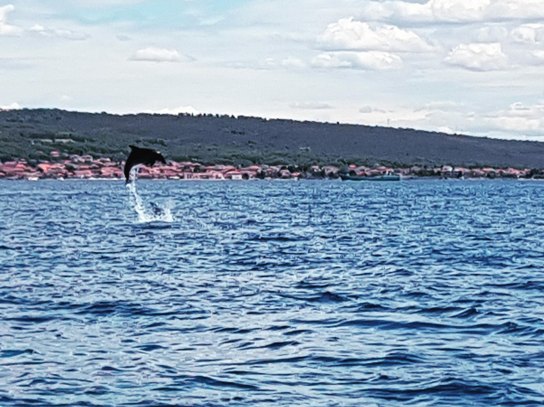 Zadar Excursions-扎达尔必去景点