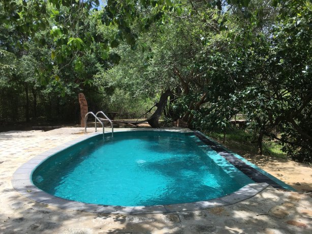 Leopard Safaris Yala-官方