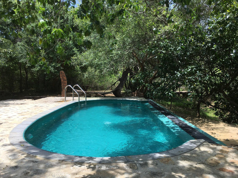 Leopard Safaris Yala主图