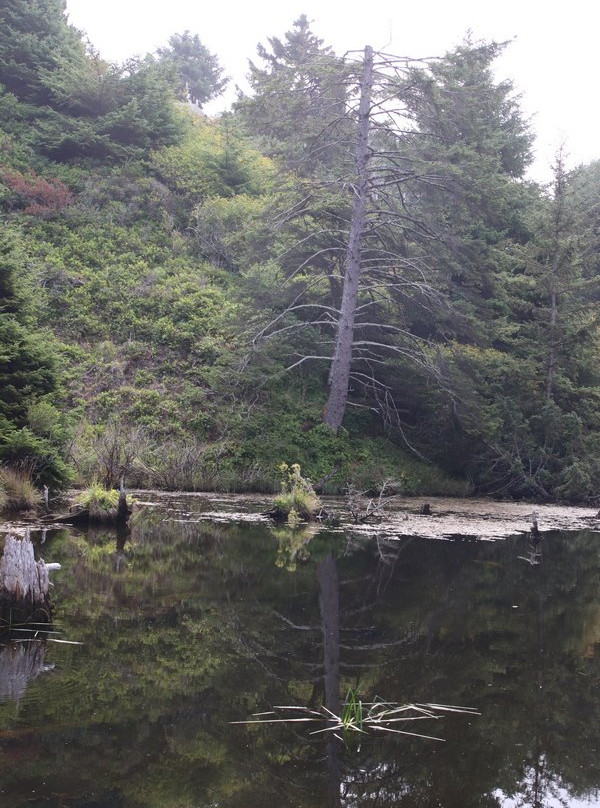 Canyon Drive Park-林肯城必去景点