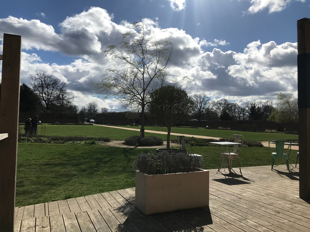 Medicine Garden-科巴姆必去景点