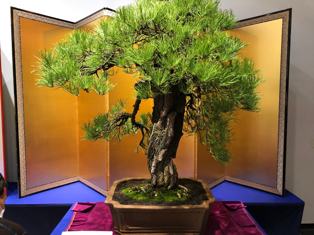 Kokufu Bonsai-Ten-Uenokoen必去景点