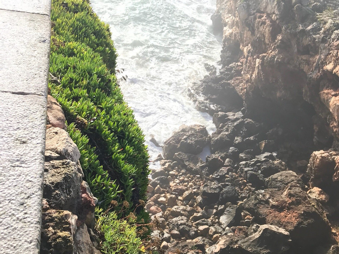 Cascais Experiences-埃斯托里尔必去景点