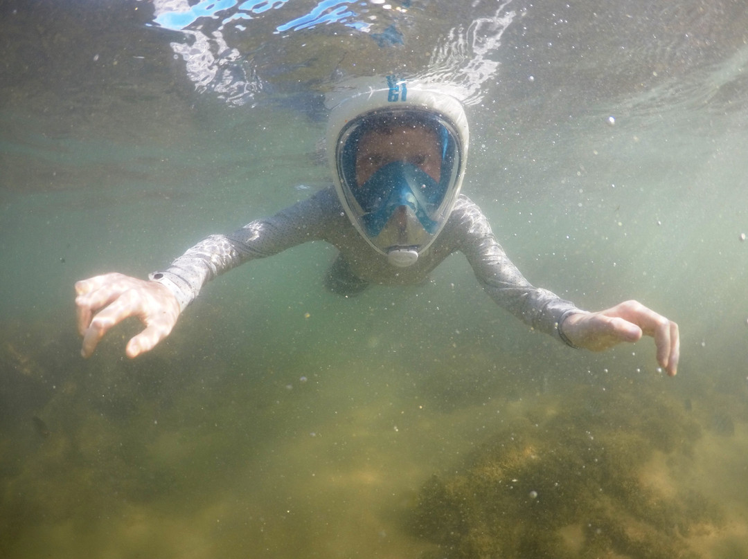 Mergulho Easy-普拉亚多海滩必去景点