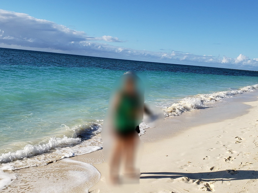 Grand Bahama Taxi Company-弗里波特必去景点