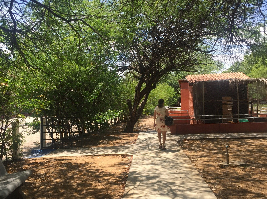 Parque Zoo-botanico da Caatinga-Petrolina必去景点