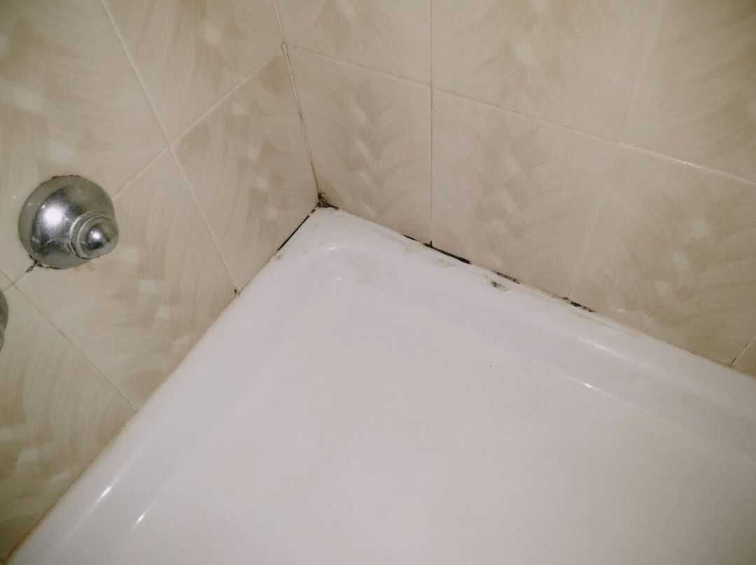 Hotel Elena sestola主图