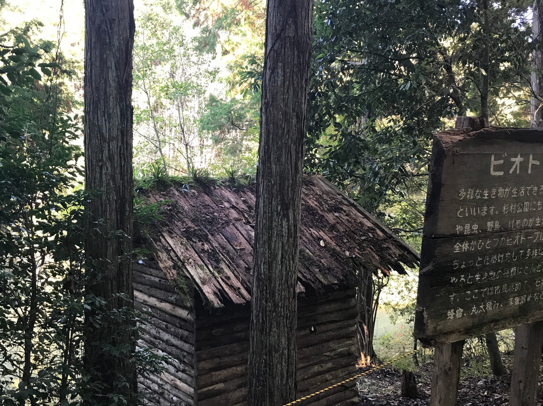 Sugimura Park-桥本市必去景点