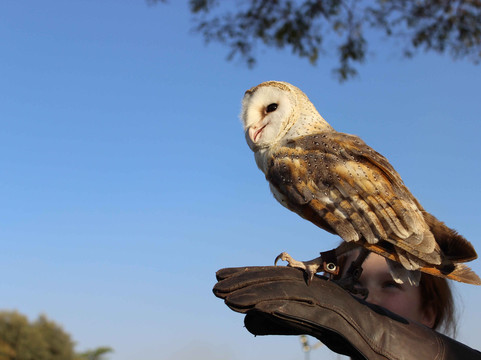 Wenhau Safaris & Tours-哈拉雷必去景点