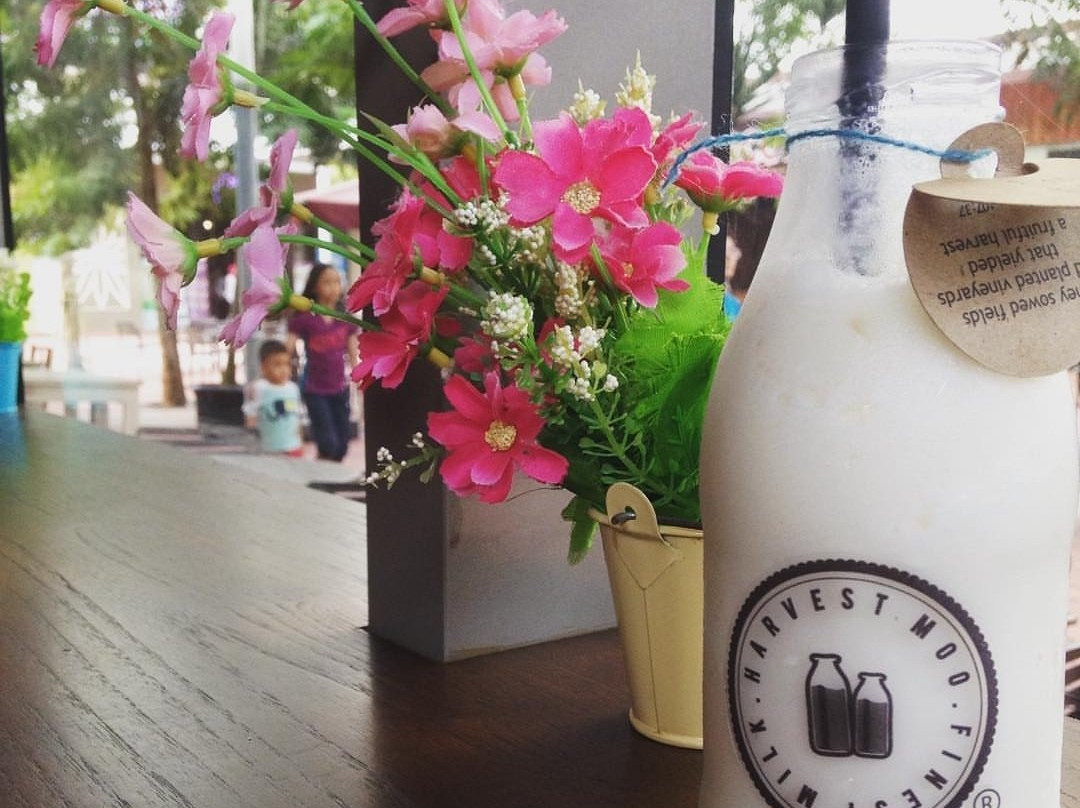 Medanglestari餐馆和美食-Harvest Moo