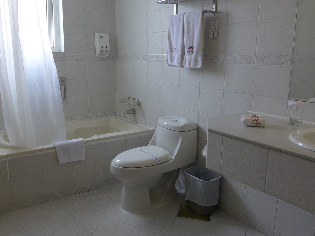 卡米纳里约公寓温泉酒店主图