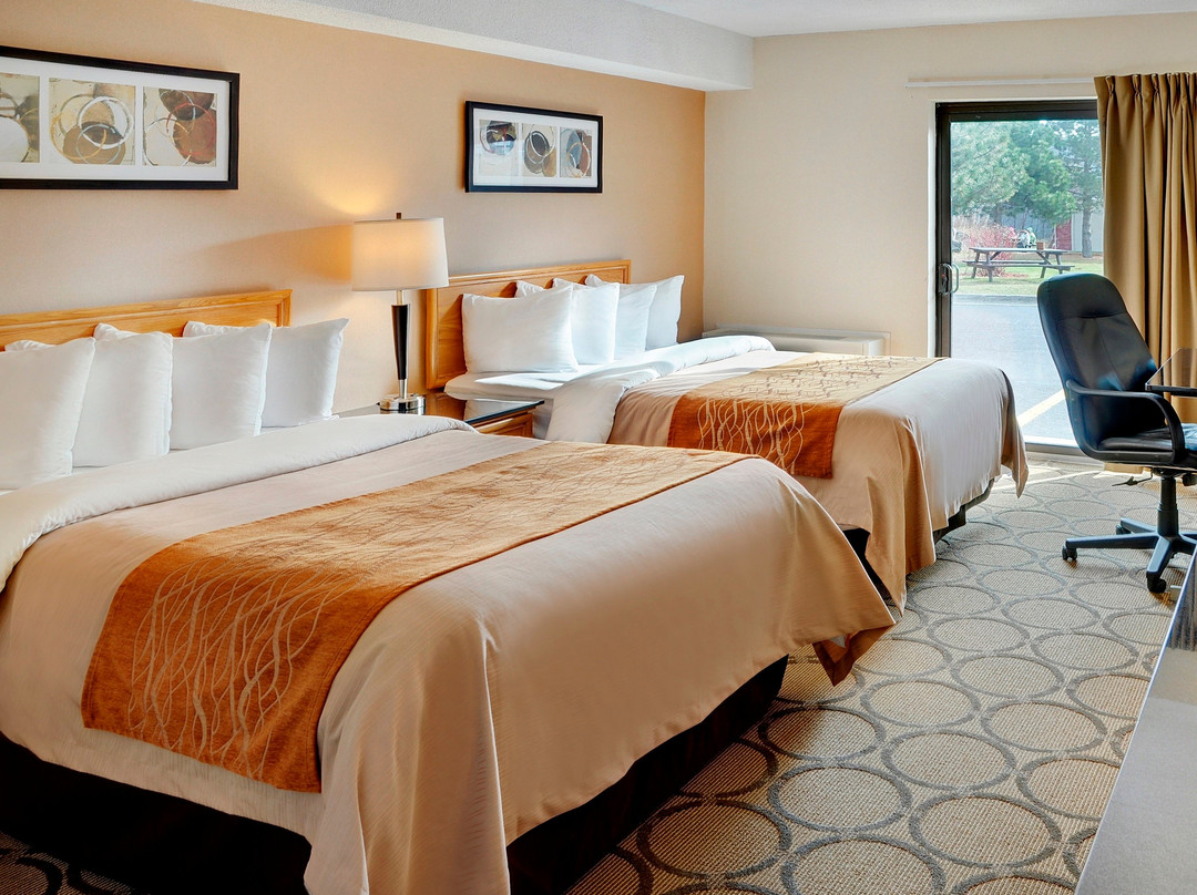 Comfort Inn Regina主图