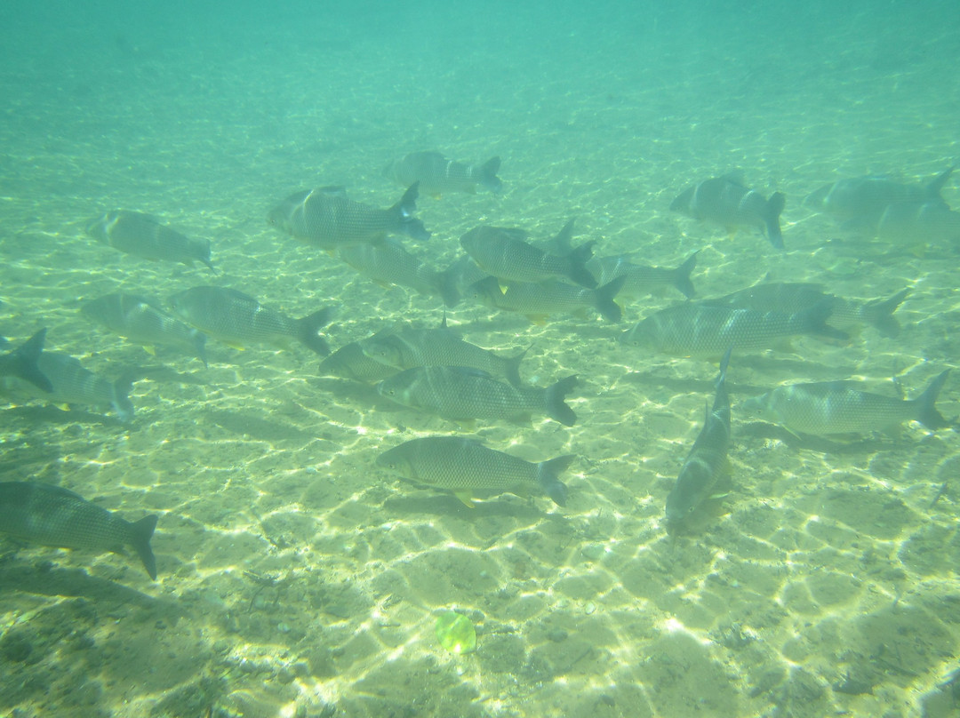 南马托格罗索州旅游景点-Recanto Ecologico Rio da Prata