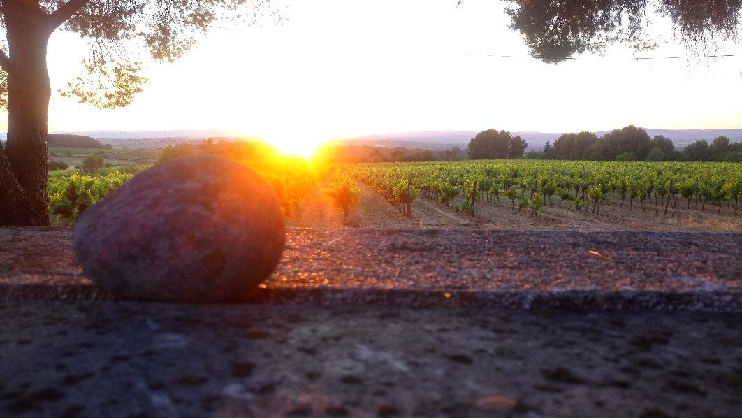 Domaine Monplezy景点图片