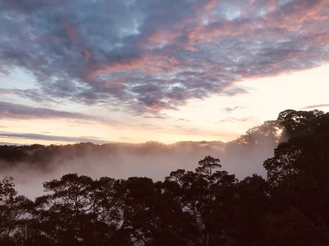 Ulu Ulu National Park Resort景点图片