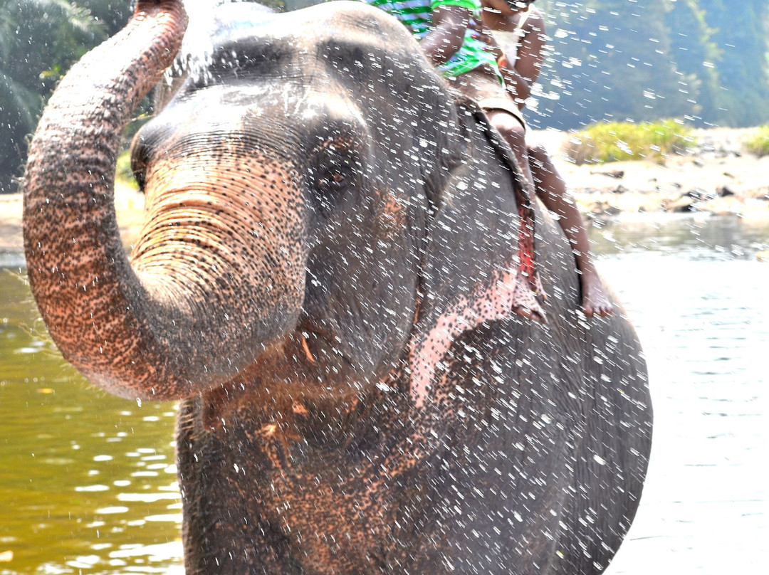 SL Tour Guide Sri Lanka景点图片