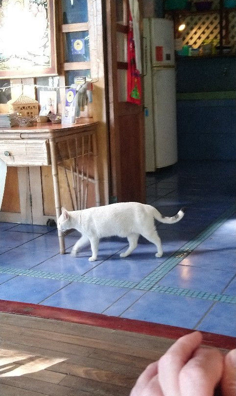 Luna Llena Hotel主图