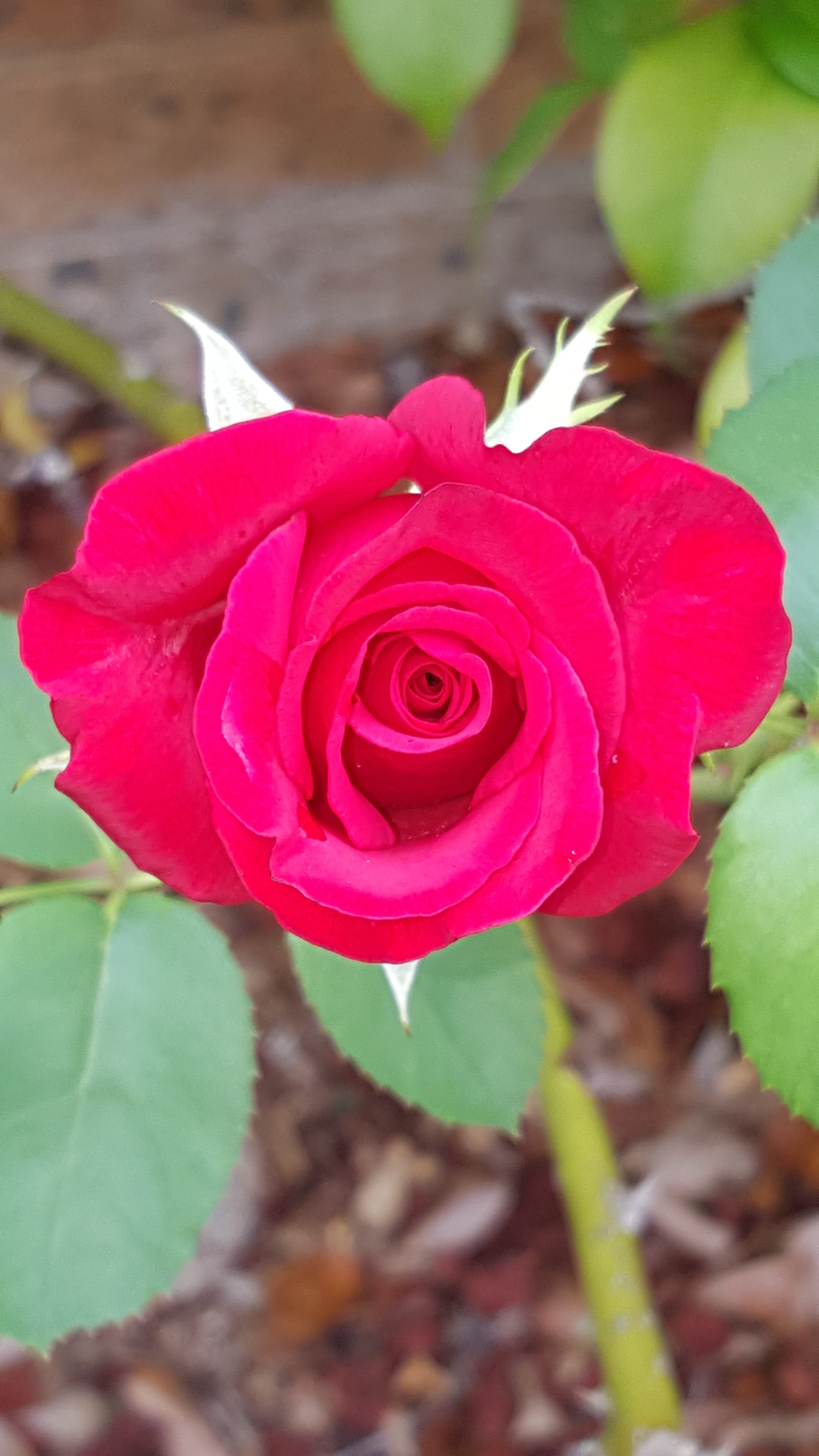 The Old Nunnery B&B Moss Vale-浴室