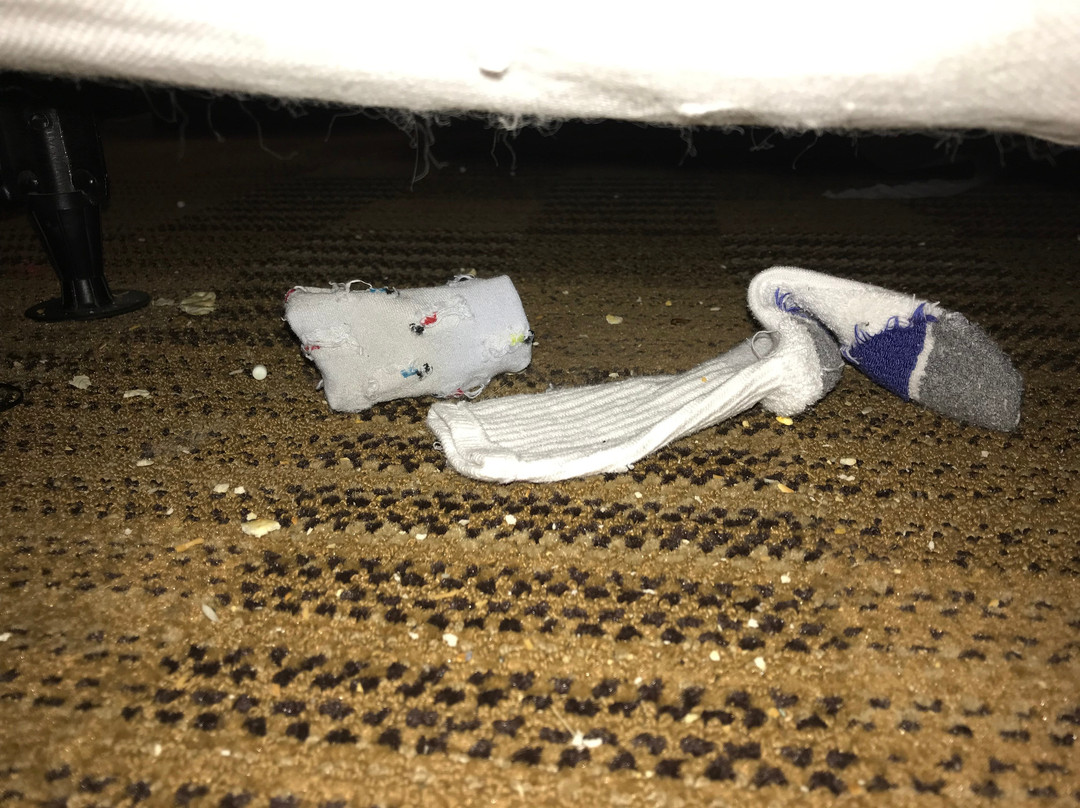 Extended Stay America Select Suites - Lexington Park - Pax River主图