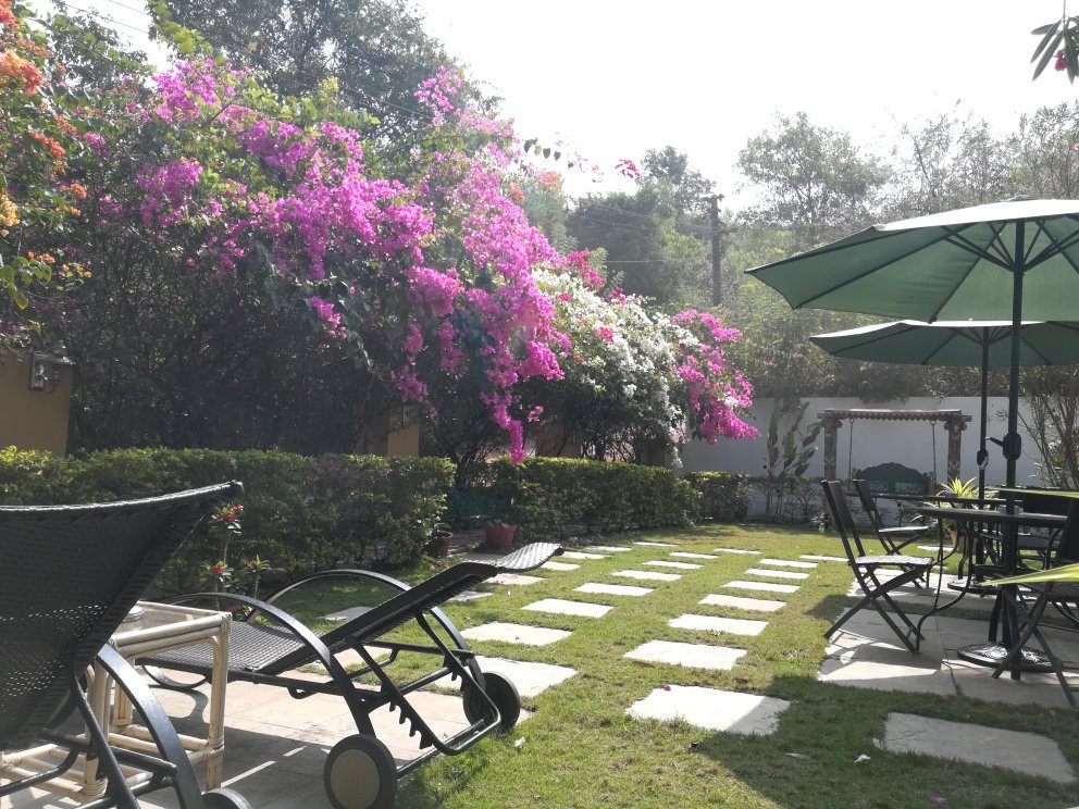 榕树灵魂酒店主图