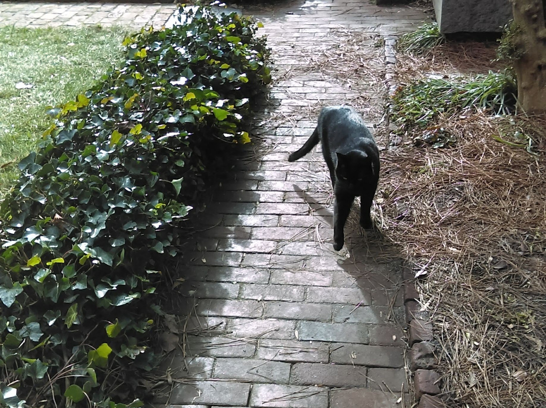 Edgar Allan Poe Museum-里士满必去景点