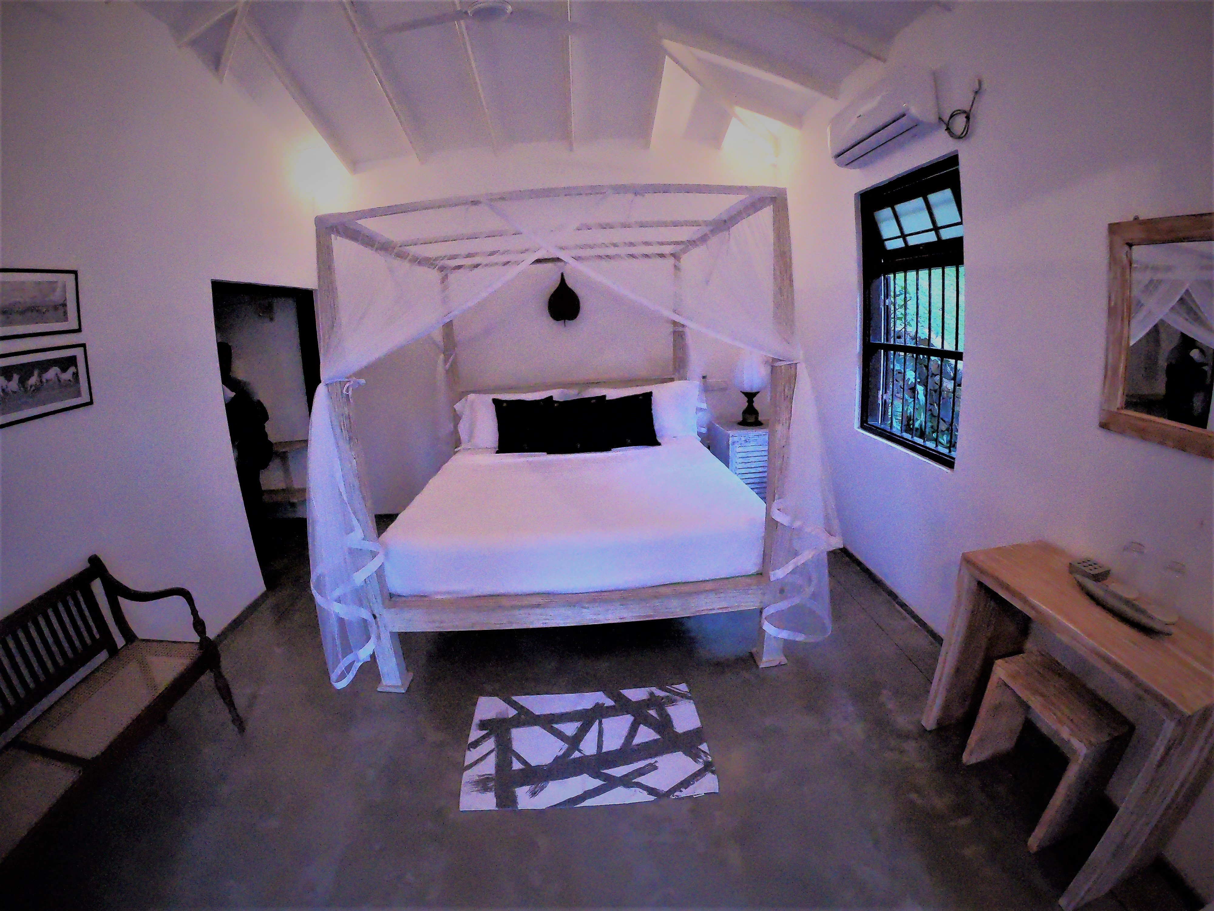 The Jungle Loft-官方