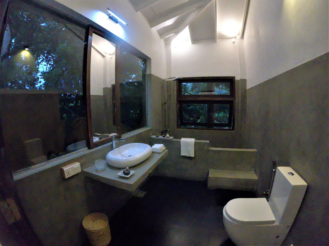 The Jungle Loft主图